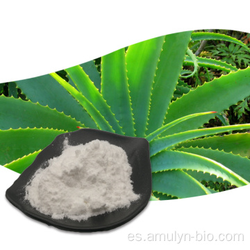 Aloe vera gel congelado extracto seco polvo